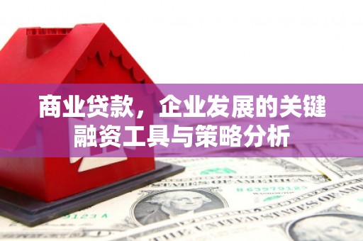 陵水商业贷款，企业发展的关键融资工具与策略分析