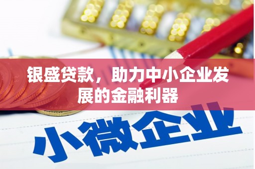 五家渠银盛贷款，助力中小企业发展的金融利器