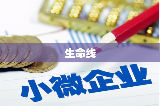 靖州生命线