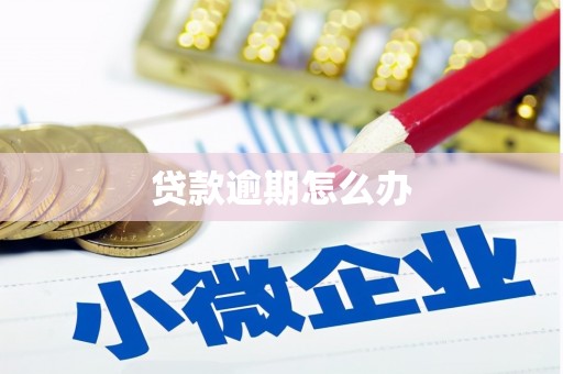 江源贷款逾期怎么办