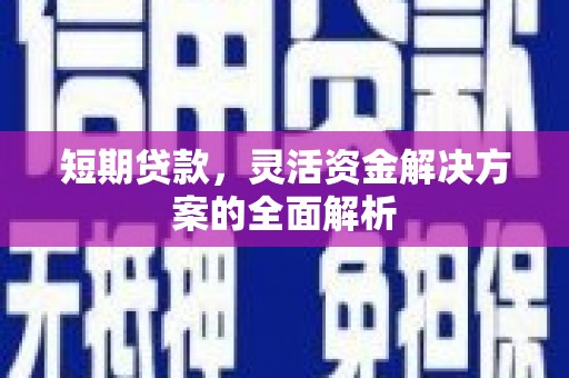苏尼特右旗短期贷款，灵活资金解决方案的全面解析