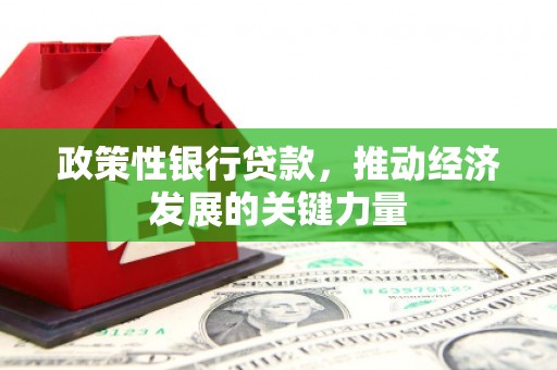 蓝田政策性银行贷款，推动经济发展的关键力量