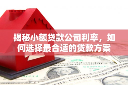 庐江揭秘小额贷款公司利率，如何选择最合适的贷款方案