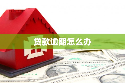 瑞昌贷款逾期怎么办
