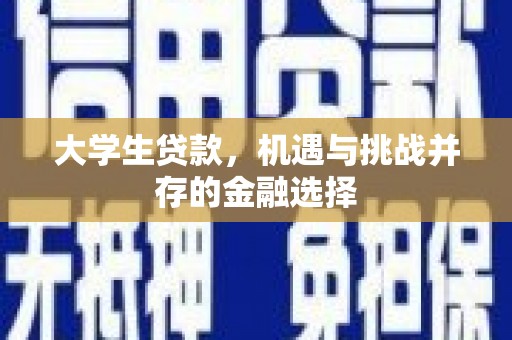 南阳大学生贷款，机遇与挑战并存的金融选择