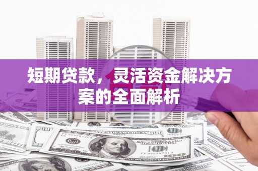 墨江短期贷款，灵活资金解决方案的全面解析