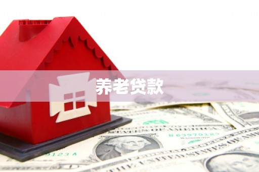 吴堡养老贷款