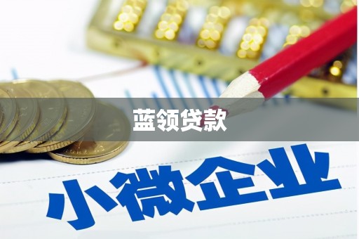 阜城蓝领贷款