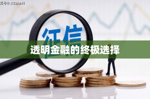 永年透明金融的终极选择