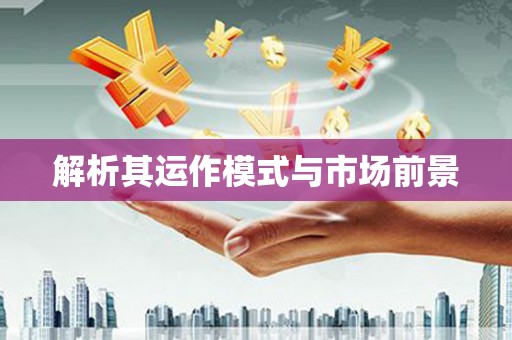平南解析其运作模式与市场前景