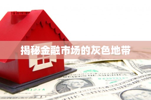 玉树揭秘金融市场的灰色地带