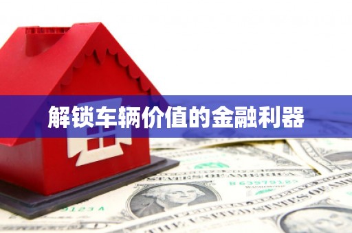 唐县解锁车辆价值的金融利器