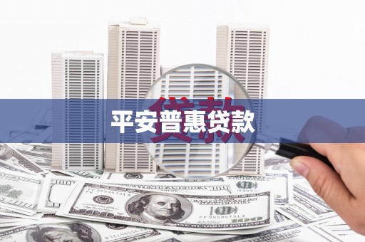 甲仙平安普惠贷款