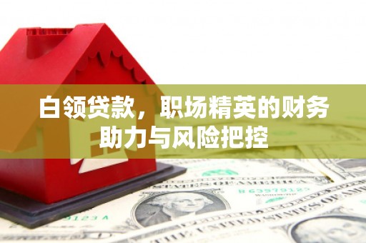 鹤庆白领贷款,职场精英的财务助力与风险把控 鹤庆白领贷款,职场精英的财务助力与风险把控