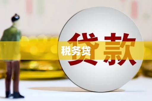 边坝税务贷
